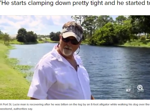 マークさんが襲われた自宅裏の運河（画像は『WPTV.com　2020年9月18日付「Port St. Lucie man attacked by 8-foot alligator while walking dog」』のスクリーンショット）