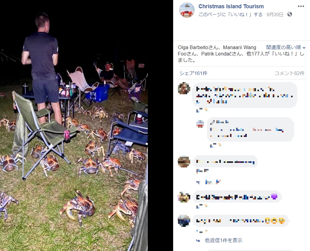 バーベキュー場に現れた大量のヤシガニ（画像は『Christmas Island Tourism　2020年9月20日付Facebook「Robber crabs behaving badly!」』のスクリーンショット）