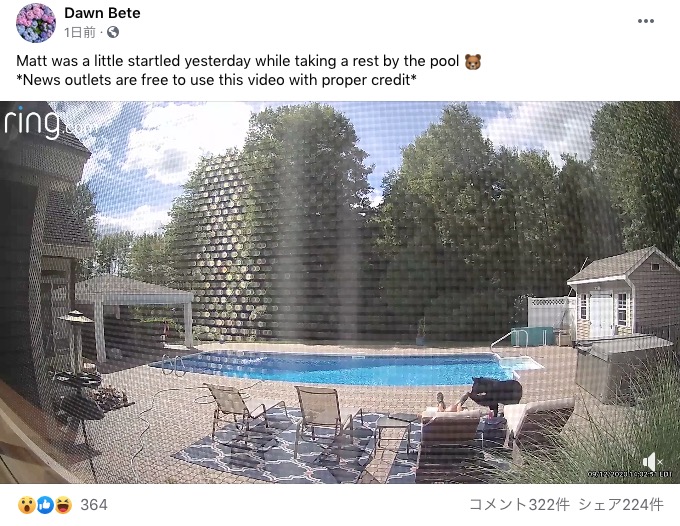 クマに足を撫でられた男性（画像は『Dawn Bete　2020年9月13日付Facebook「Matt was a little startled yesterday while taking a rest by the pool」』のスクリーンショット）