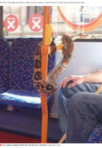 男性はヘビを目の前の手すりに這わせる行為も（画像は『Mirror Online　2020年9月15日付「Man spotted on bus wearing snake round his neck instead of face mask」（Image: Alison Jones）』のスクリーンショット）