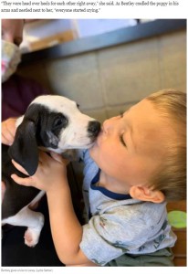 新しい家族“レイシー”にキスするベントレー君（画像は『Washington Post　2020年9月10日付「A puppy with a cleft lip is adopted by a boy with a cleft lip: ‘They instantly loved each other’」（Lydia Sattler）』のスクリーンショット）