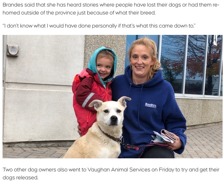 無事リンゴと再会できたジェシカさん（画像は『CTV News Toronto　2020年10月30日付「‘I’m over the moon’: Ontario woman reunited with senior dog held by animal services」』のスクリーンショット）