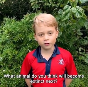 「次に絶滅するのはどの動物？」と質問したジョージ王子（画像は『Duke and Duchess of Cambridge　2020年10月3日付Instagram「Ask David Attenborough」』のスクリーンショット）