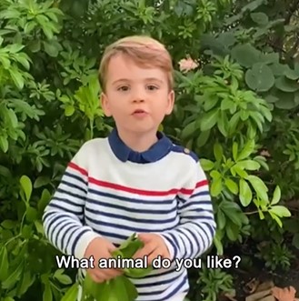 ルイ王子は「どの動物が好き？」と質問（画像は『Duke and Duchess of Cambridge　2020年10月3日付Instagram「Ask David Attenborough」』のスクリーンショット）