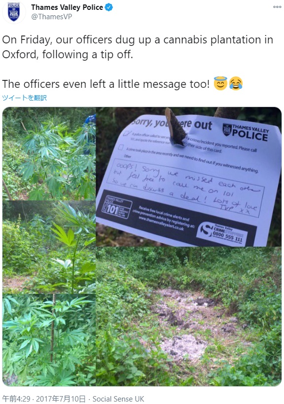 2017年、大麻栽培者にユニークな置き手紙をしたテムズバレー警察（画像は『Thames Valley Police　2017年7月10日付Twitter「On Friday, our officers dug up a cannabis plantation in Oxford, following a tip off.」』のスクリーンショット）