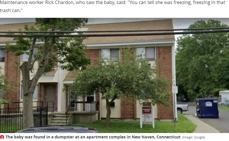 赤ちゃんが捨てられていたアパートのゴミ収集箱（画像は『Mirror　2020年10月15日付「Babysitter, 24, ‘dumped eight-month-old girl in bin’ after ‘attacking her mum’」（Image: Google）』のスクリーンショット）