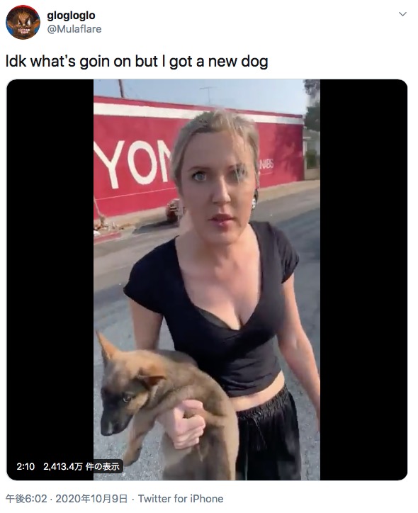 黒人男性に差別発言で罵倒する女性（画像は『glogloglo　2020年10月9日付Twitter「Idk what’s goin on but I got a new dog」』のスクリーンショット）