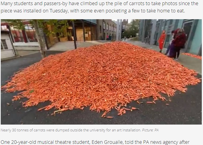 突如キャンパスに山積みされた大量の人参（画像は『LBC　2020年9月30日付「29 tonnes of carrots dumped outside London university for art installation」（Picture: PA）』のスクリーンショット）