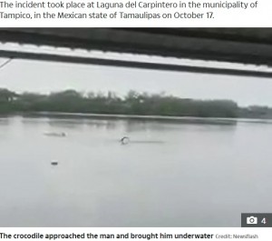 【海外発！Breaking News】遊泳禁止の湖で泳いでいた男性、ワニに頭を噛みつかれる（メキシコ）