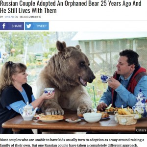 ステパンを育てた夫妻（画像は『UNILAD  2018年8月6日付「Russian Couple Adopted An Orphaned Bear 25 Years Ago And He Still Lives With Them」』のスクリーンショット）