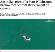 サーファーの背後に迫るサメ　戦慄の瞬間をドローンが捉える（豪）＜動画あり＞