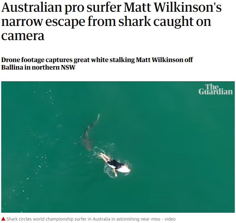 ドローンが捉えたサーファーとその背後に迫るサメ（画像は『The Guardian　2020年10月8日付「Australian pro surfer Matt Wilkinson’s narrow escape from shark caught on camera」』のスクリーンショット）