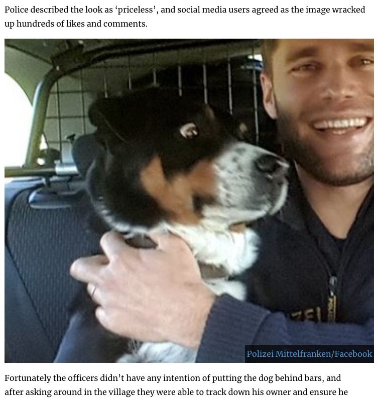「逮捕された」瞬間の犬（画像は『UNILAD 2020年11月20日付 「Dog Who Snuck Away From Home Shocked That He Just Got ‘Arrested’」（Polizei Mittelfranken/Facebook）』のスクリーンショット）