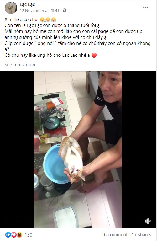 モデルに徹した猫はなんだか気持ちよさそうに…（画像は『Lạc Lạc　2020年11月12日付Facebook「Xin chào cô chú..」』のスクリーンショット）