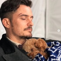 【イタすぎるセレブ達】オーランド・ブルーム、愛犬の死から4か月　保護犬を家族として迎え入れる