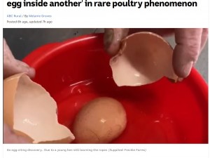 【海外発！Breaking News】卵の中にまた卵　養鶏場で発見された大きな卵の中から殻付き卵がもう1つ出現する（豪）＜動画あり＞