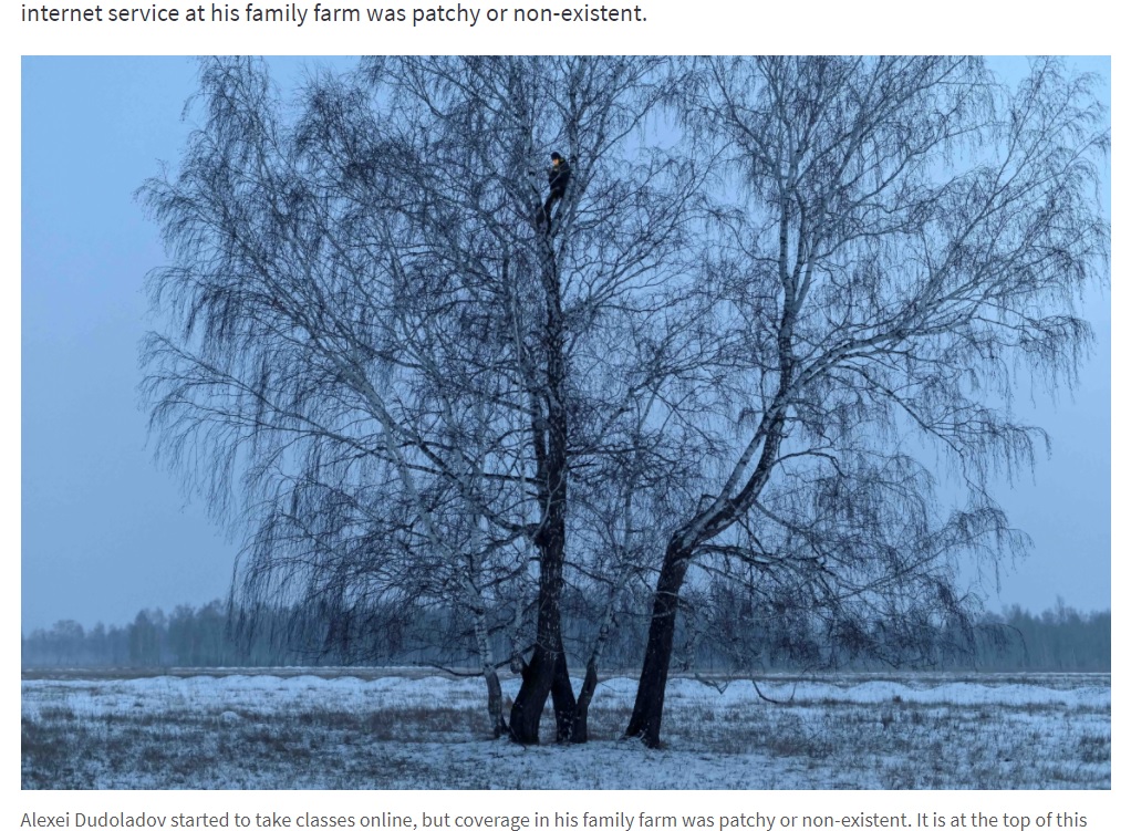 8メートルもある木に登って授業を受ける大学生（画像は『PRI.org　2020年11月19日付「Siberian student scales birch tree for internet access as classes move online」（Credit: Alexey Malgavko/Reuters）』のスクリーンショット）
