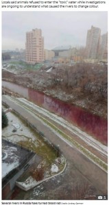広範囲に及んでいる川の汚染（画像は『The Sun　2020年11月7日付「RED TIDE Mystery as rivers in Russia turn BLOOD RED and animals refuse to enter ‘toxic’ water」（Credit: Andrey German）』のスクリーンショット）