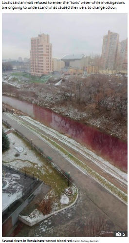 広範囲に及んでいる川の汚染（画像は『The Sun　2020年11月7日付「RED TIDE Mystery as rivers in Russia turn BLOOD RED and animals refuse to enter ‘toxic’ water」（Credit: Andrey German）』のスクリーンショット）