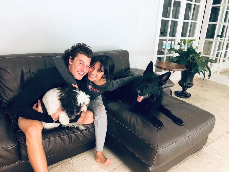 愛犬家のショーン＆カミラ（画像は『camila　2020年5月23日付Instagram』のスクリーンショット）