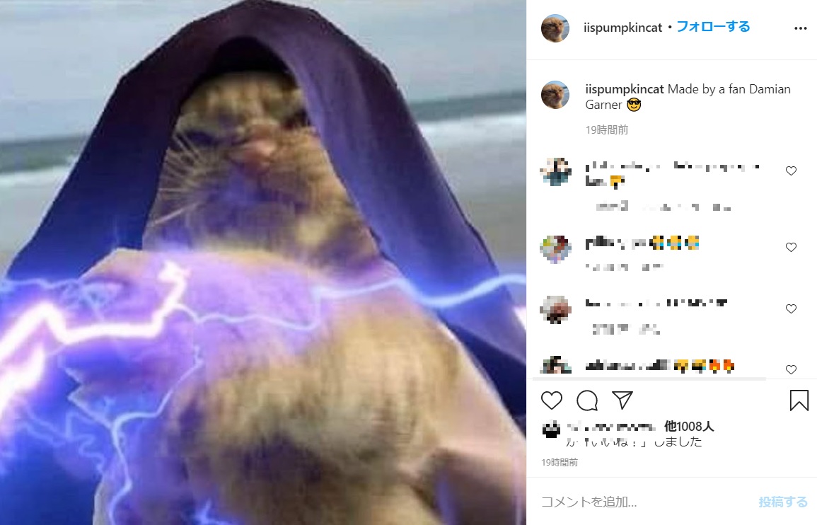 パンプキンの不満顔を使って多くのコラージュ画像も作られた（画像は『PumpKin the Cat　2020年11月7日付Instagram「Made by a fan Damian Garner」』のスクリーンショット）