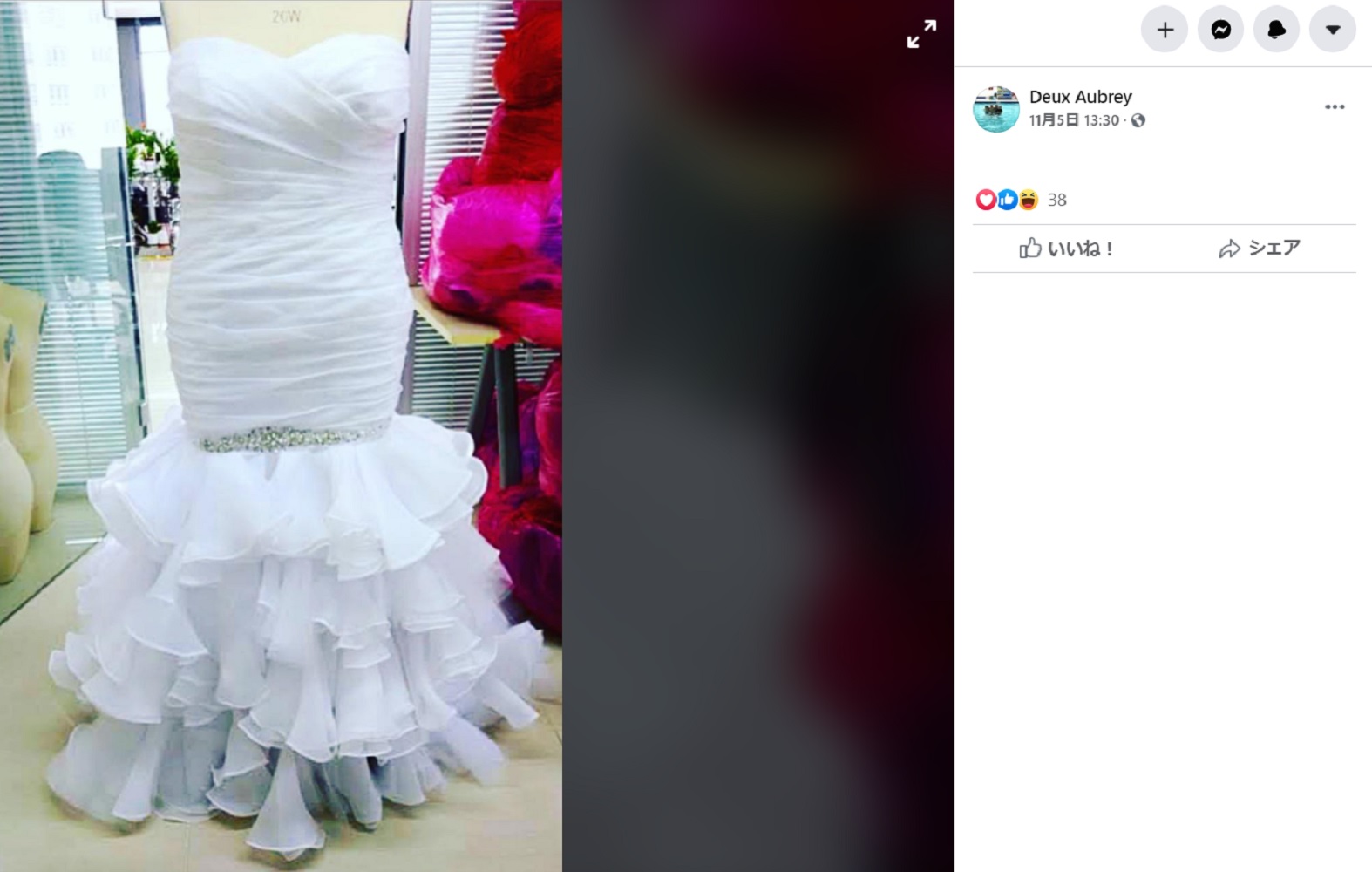 掲載されていたドレスの写真（画像は『Deux Aubrey　2020年11月5日付Facebook「Two weeks ago my wedding dress came in.」』のスクリーンショット）