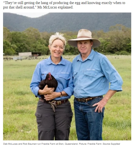 6年間養鶏場を営むデブさん夫婦は、週に約1万個の卵を出荷するエキスパートだ（画像は『news.com.au　2020年11月10日付「Eton free range egg producer Freckle Farm find rare double shelled egg | VIDEO」（Picture: Freckle Farm）』のスクリーンショット）