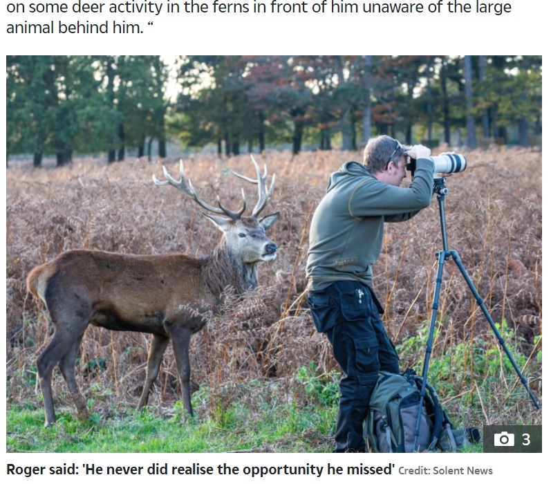 鹿も気付いてもらいたい？（画像は『The Sun　2020年11月7日付「NO I-DEER Photographer stands completely unaware of a stag just feet away from him」（Credit: Solent News）』のスクリーンショット）