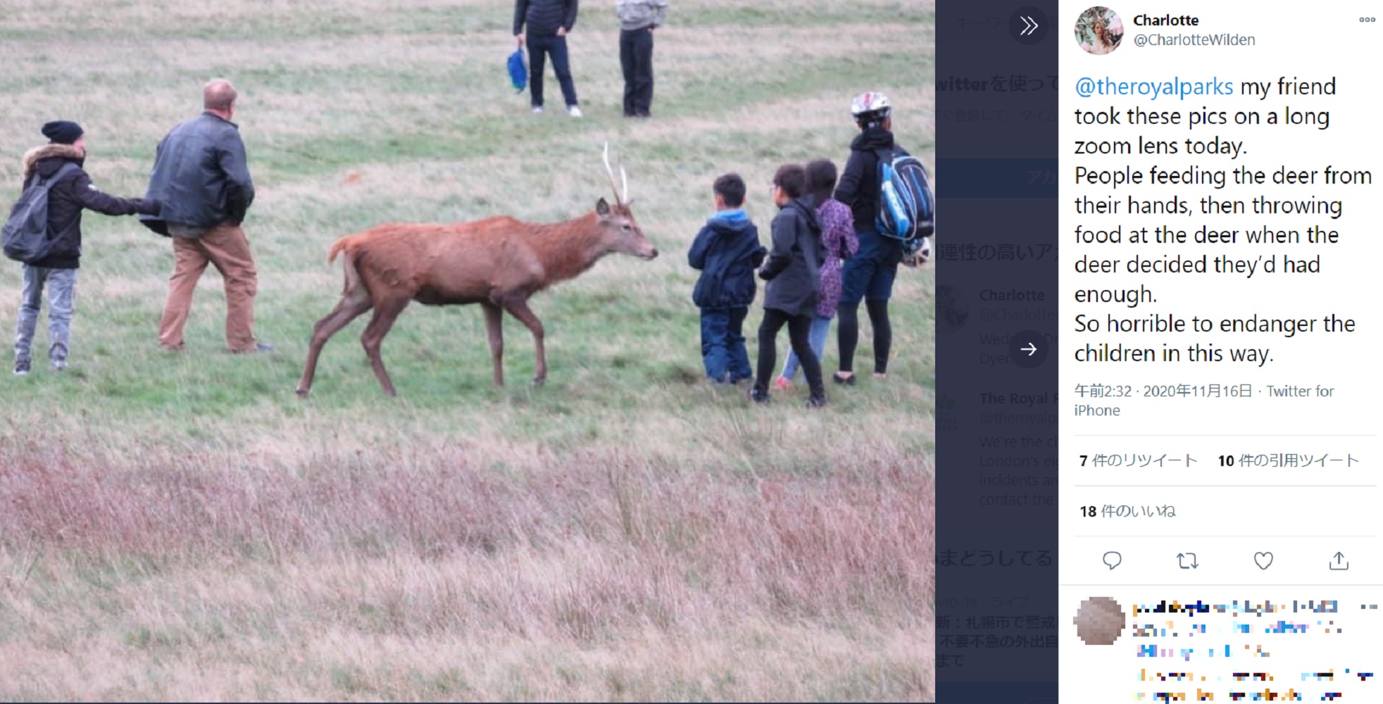 子供達も至近距離で鹿と接している（画像は『Charlotte　2020年11月16日付Twitter「＠theroyalparks my friend took these pics on a long zoom lens today.」』のスクリーンショット）