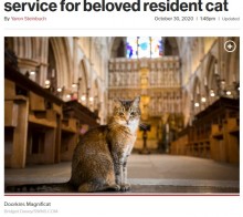 【海外発！Breaking News】教会に住み着き人気者だった猫の死を悼み、追悼式が行われる（英）＜動画あり＞