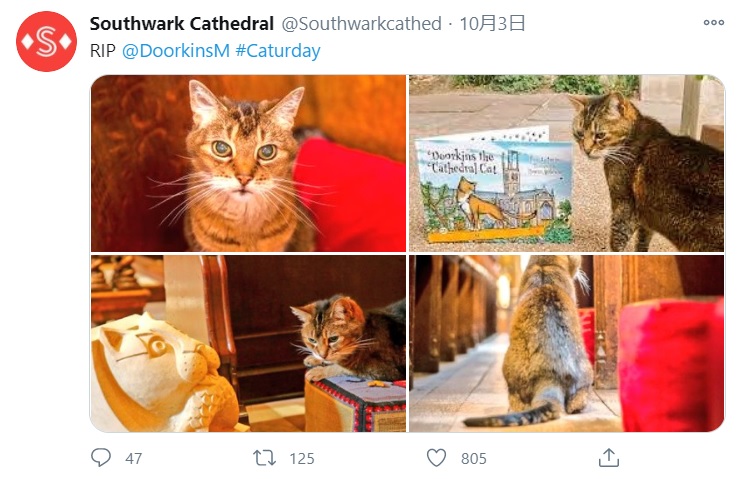 教会の公式ツイッターもドーキンスの死を悼む（画像は『Southwark Cathedral　2020年10月3日付Twitter「RIP ＠DoorkinsM ＃Caturday」』のスクリーンショット）