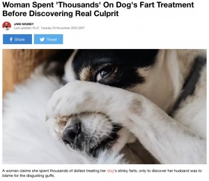 【海外発！Breaking News】犬の“オナラ治療”に数十万円の治療費を支払った女性、臭いの犯人が夫と判明し大激怒