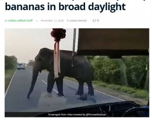 【海外発！Breaking News】バスを止めたゾウが車内のバナナを横取り　白昼堂々の犯行に唖然（スリランカ）＜動画あり＞