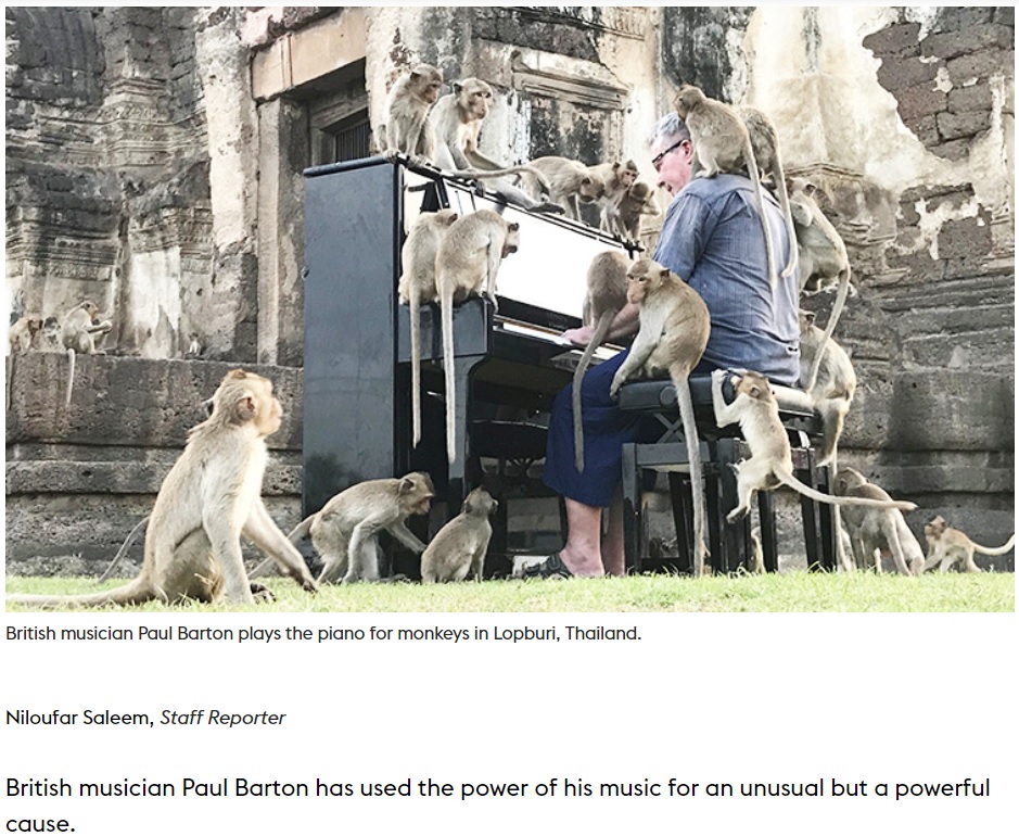 サルに邪魔されながらも真剣に演奏を続ける男性（画像は『Gulf Today　2020年11月23日付「VIDEO: British pianist Paul Barton soothes Thailand’s hungry monkeys with his music」』のスクリーンショット）