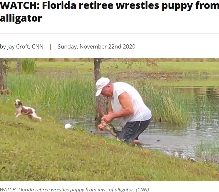 ワニと闘い、愛犬を救った70代男性（画像は『WPEC CBS 12　2020年11月22日付「WATCH: Florida retiree wrestles puppy from jaws of alligator」（CNN）』のスクリーンショット）