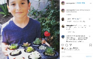 小さな多肉植物の販売からアーロン君のビジネスは始まった（画像は『Aaron M.　2020年6月25日付Instagram「8 year old boy trying to build a Bussiness」』のスクリーンショット）