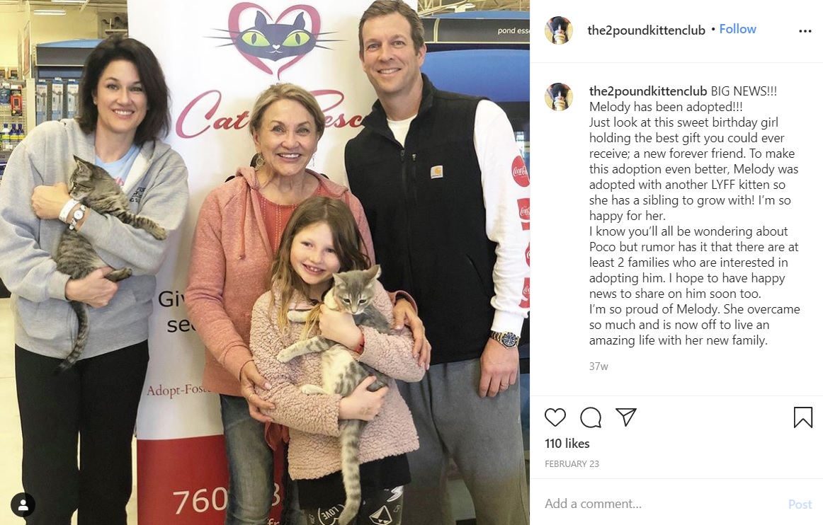 新しい家族が見つかったメロディ（画像は『Heather T　2020年2月23日付Instagram「BIG NEWS!!!」』のスクリーンショット）