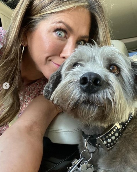 ジェニファーのもう1匹の愛犬クライド（画像は『Jennifer Aniston　2019年11月13日付Instagram「Girl’s best friend... bring Clyde to work day.」』のスクリーンショット）
