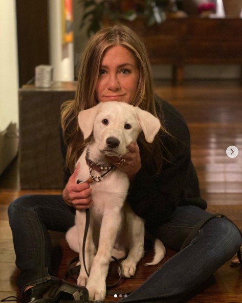 ジェニファー・アニストン、愛犬の最新ショットを公開（画像は『Jennifer Aniston　2020年11月27日付Instagram「We’re grateful」』のスクリーンショット）
