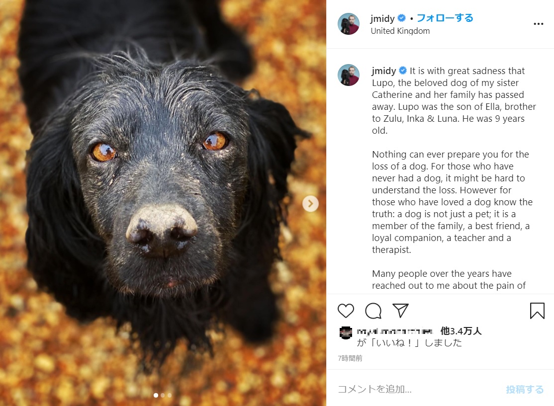 キャサリン妃の弟ジェームズさんもInstagramで追悼（画像は『James Middleton　2020年11月22日付Instagram「It is with great sadness that Lupo, the beloved dog of my sister Catherine and her family has passed away.」』のスクリーンショット）