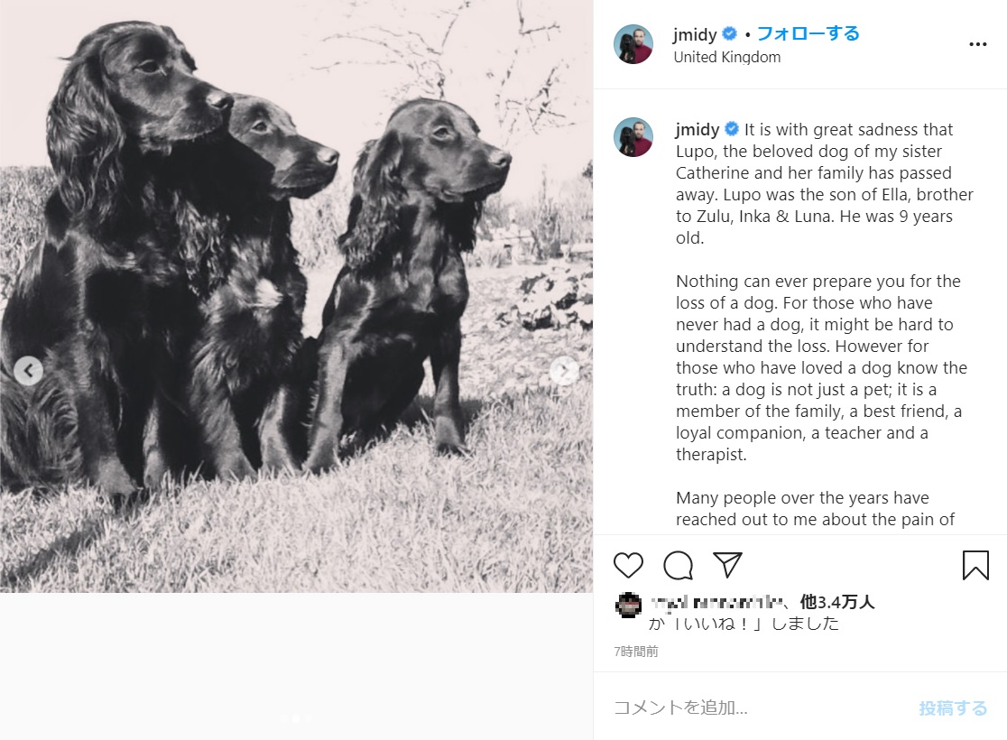 ジェームズさんの愛犬達とも家族だったルポ（画像は『James Middleton　2020年11月22日付Instagram「It is with great sadness that Lupo, the beloved dog of my sister Catherine and her family has passed away.」』のスクリーンショット）