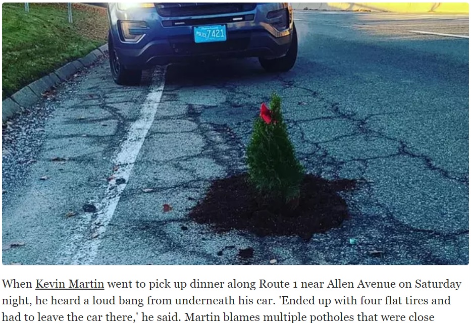 道路の穴に植えられた小さなクリスマスツリー（画像は『News Break　2020年11月10日付「Man plants Christmas trees in North Attleborough potholes」』のスクリーンショット）