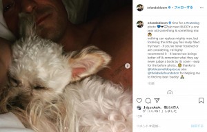 保護犬バディくんを紹介したオーランド（画像は『Orlando Bloom　2020年11月10日付Instagram「time for a ＃cutedog photo」』のスクリーンショット）