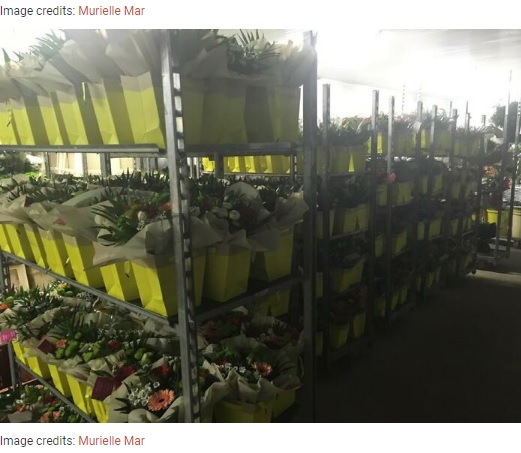 ミュリエルさんの店に残った花束（画像は『Bored Panda　2020年11月5日付「This Florist Places Hundreds Of Bouquets On Caregivers’ Cars In A Hospital Parking Lot After Being Forced To Throw Away Unsold Flowers」（Image credits: Murielle Mar）』のスクリーンショット）