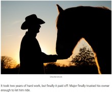 【海外発！Breaking News】暴れ馬、心を許したたった一人の男性に葬儀で「最期のキス」（米）