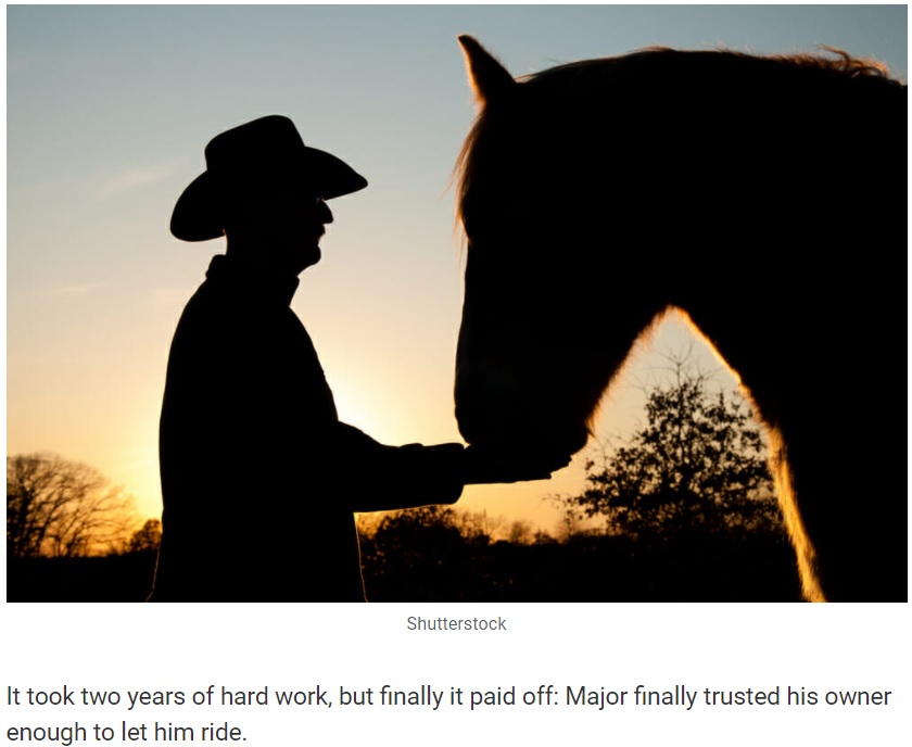 誰からも相手にされなかった馬と信頼関係を築く（画像は『We Love Animals　2020年10月29日付「Horse at funeral says final goodbye to owner who wouldn’t give up on him」（Shutterstock）』のスクリーンショット）