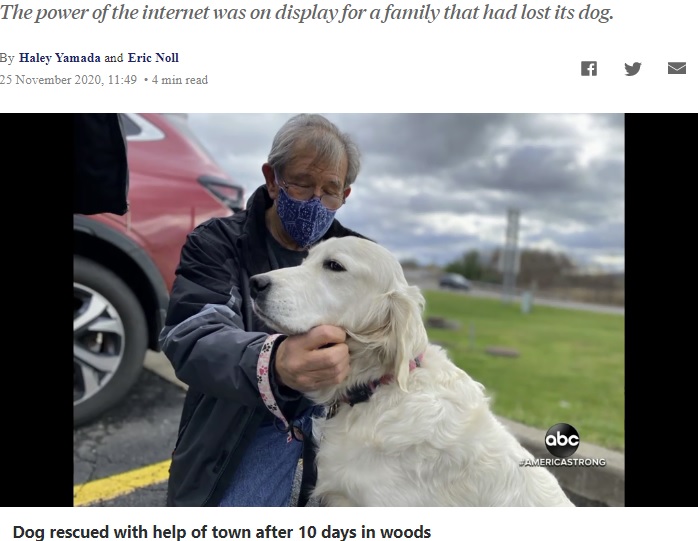 飼い主のゲイリーさんと再会を果たしたメドウ（画像は『ABC News　2020年11月25日付「Man uses drone to rescue dog lost for 10 days in the woods」（ABC）』のスクリーンショット）