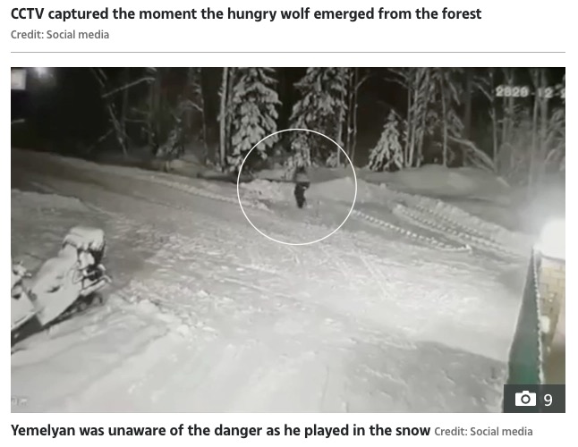 外でかくれんぼをして遊んでいたエメリヤン君（画像は『The Sun　2020年12月29日付「WOLF ATTACK Hero Jack Russell dies saving owner, 10, from hungry wolf after it spotted boy hiding in snow as he played hide and seek」（Credit: Social media）』のスクリーンショット）