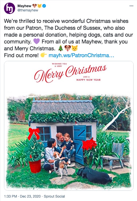 アーチーくんの赤毛に注目集まる（画像は『Mayhew　2020年12月23日付Twitter「We’re thrilled to receive wonderful Christmas wishes from our Patron, The Duchess of Sussex, who also made a personal donation, helping dogs, cats and our community.」』のスクリーンショット）