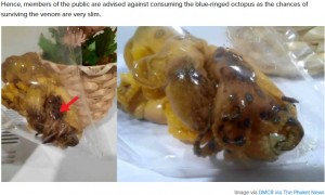 通報者の女性が購入した串焼き　ヒョウモンダコの特徴である黒い斑点が確認できる（画像は『SAYS　2020年12月2日付「Experts Warn Against Eating This Octopus As Its Venom Can Kill A Person Within Minutes」（Image via DMCR via The Phuket News）』のスクリーンショット）